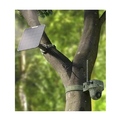 Solar Camera 4G SIM Cart Reolink BP4G Outdoor Battery Camera 4K PTZ GO Ranger PT + Solar